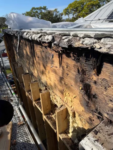Exterior Wall Mold Damage Due to Roof Leak